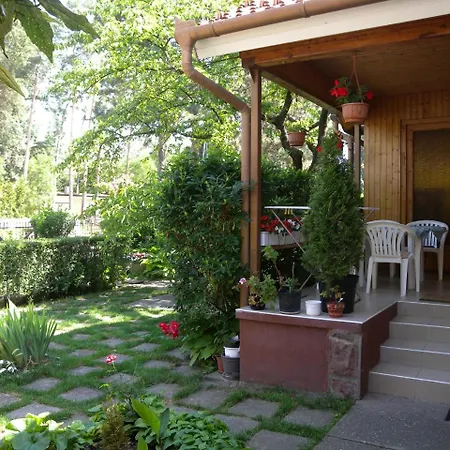 Apartment House And Apt. In Siofok/balaton 19755 *